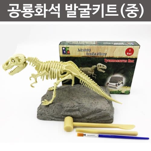 공룡화석 발굴키트(중형)