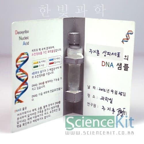 DNA추출Ⅱ-동물세포(4인용)