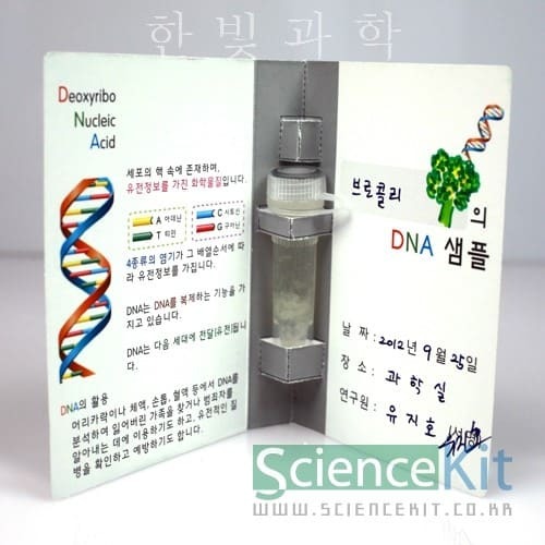 DNA추출Ⅰ-식물세포(4인용)
