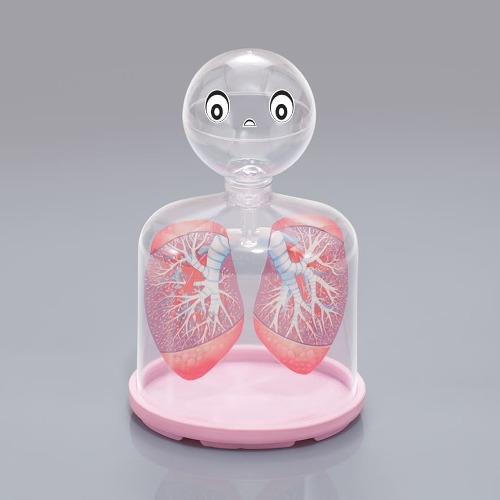 호흡의구조모형(허파실험장치)