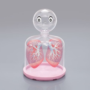 호흡의구조모형(허파실험장치)