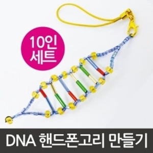 DNA핸드폰고리만들기(10인)