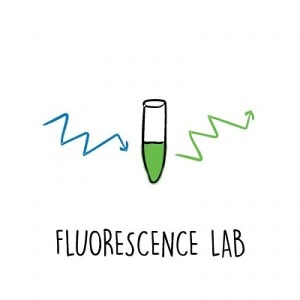 P51™ 형광입문실험 P51™ Intro to Fluorescence Lab