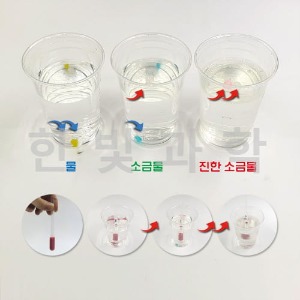 용액의 진하기비교(1인용/5인용)-비중계만들기 플라스틱분리실험